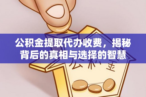 浦城公积金提取代办收费，揭秘背后的真相与选择的智慧