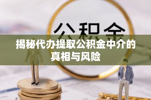 浦城揭秘代办提取公积金中介的真相与风险