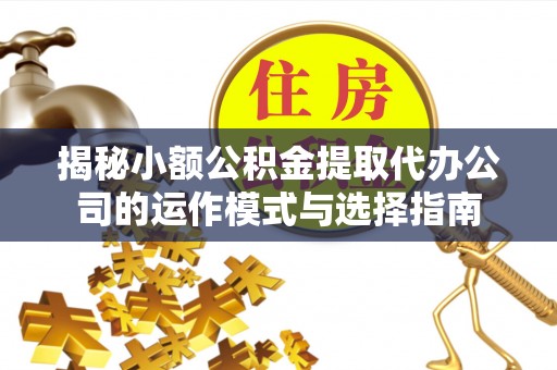浦城揭秘小额公积金提取代办公司的运作模式与选择指南