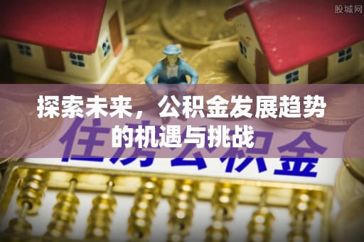 浦城探索未来，公积金发展趋势的机遇与挑战
