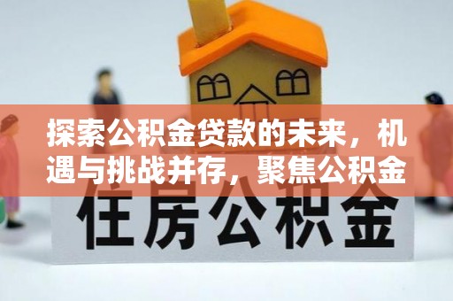 浦城探索公积金贷款的未来，机遇与挑战并存，聚焦公积金贷款风险防控策略