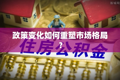 浦城政策变化如何重塑市场格局？