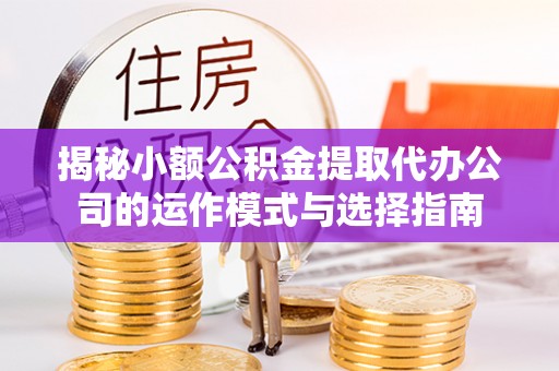 浦城揭秘小额公积金提取代办公司的运作模式与选择指南