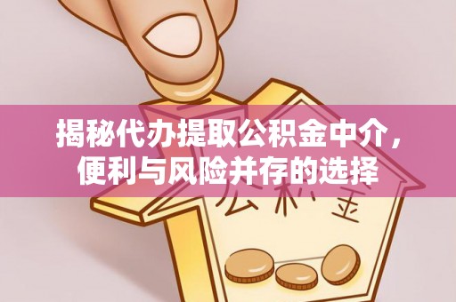 浦城揭秘代办提取公积金中介，便利与风险并存的选择
