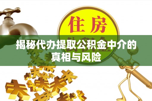 浦城揭秘代办提取公积金中介的真相与风险