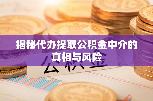 浦城揭秘代办提取公积金中介的真相与风险