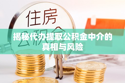浦城揭秘代办提取公积金中介的真相与风险