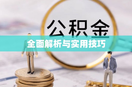 浦城全面解析与实用技巧