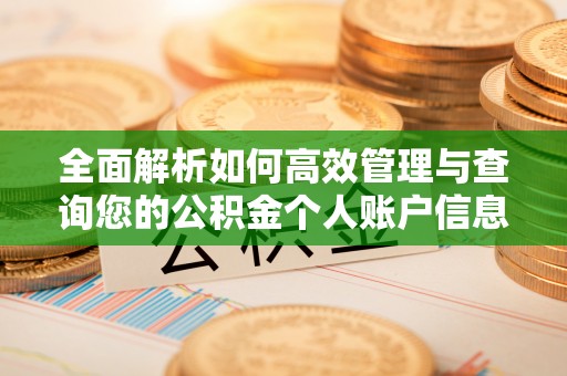 浦城全面解析如何高效管理与查询您的公积金个人账户信息