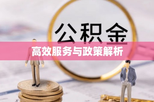 浦城高效服务与政策解析