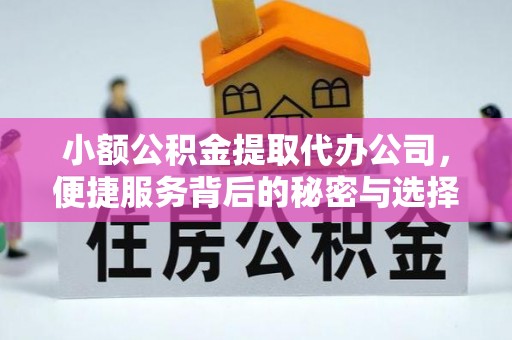 浦城小额公积金提取代办公司，便捷服务背后的秘密与选择指南