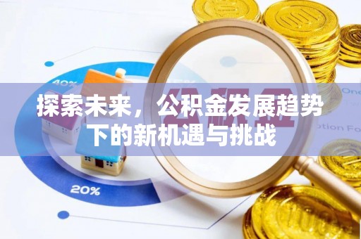 浦城探索未来，公积金发展趋势下的新机遇与挑战