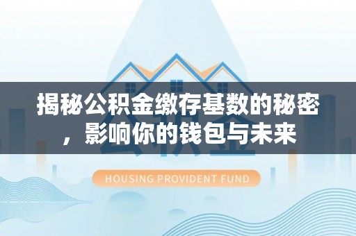 浦城揭秘公积金缴存基数的秘密，影响你的钱包与未来