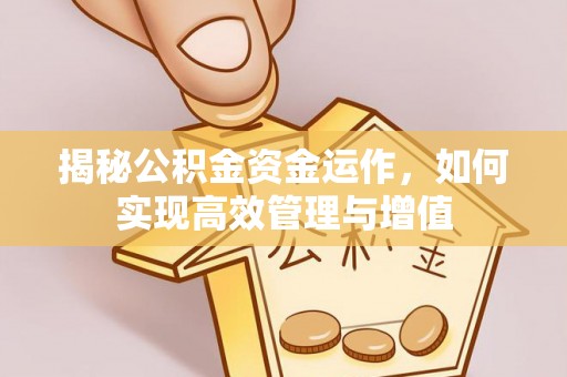 浦城揭秘公积金资金运作，如何实现高效管理与增值