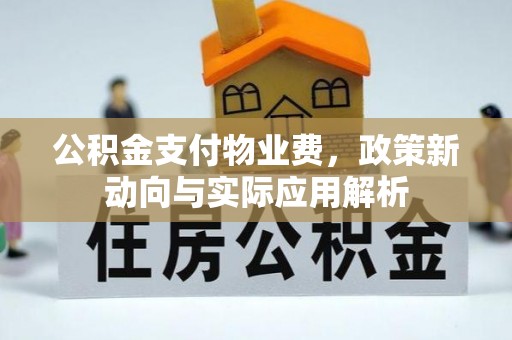 浦城公积金支付物业费，政策新动向与实际应用解析