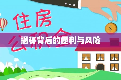 浦城揭秘背后的便利与风险